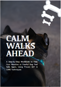 Calm Walks Ahead