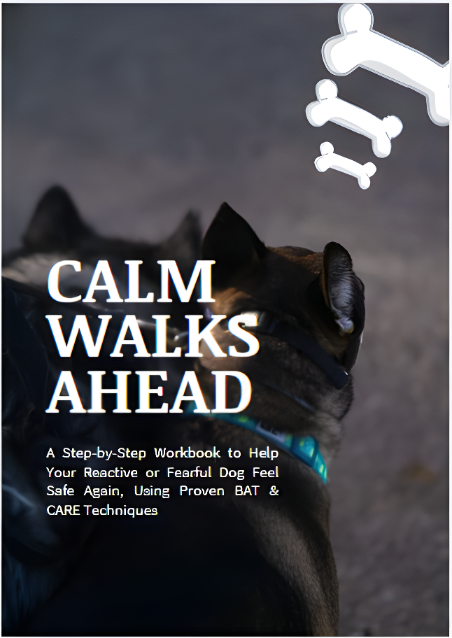 Calm Walks Ahead